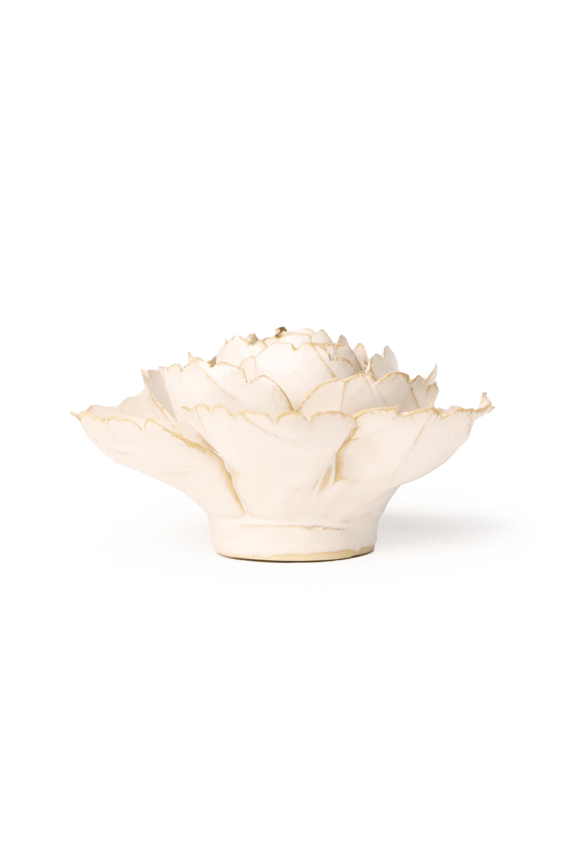 Ivory English Rose - Image 2