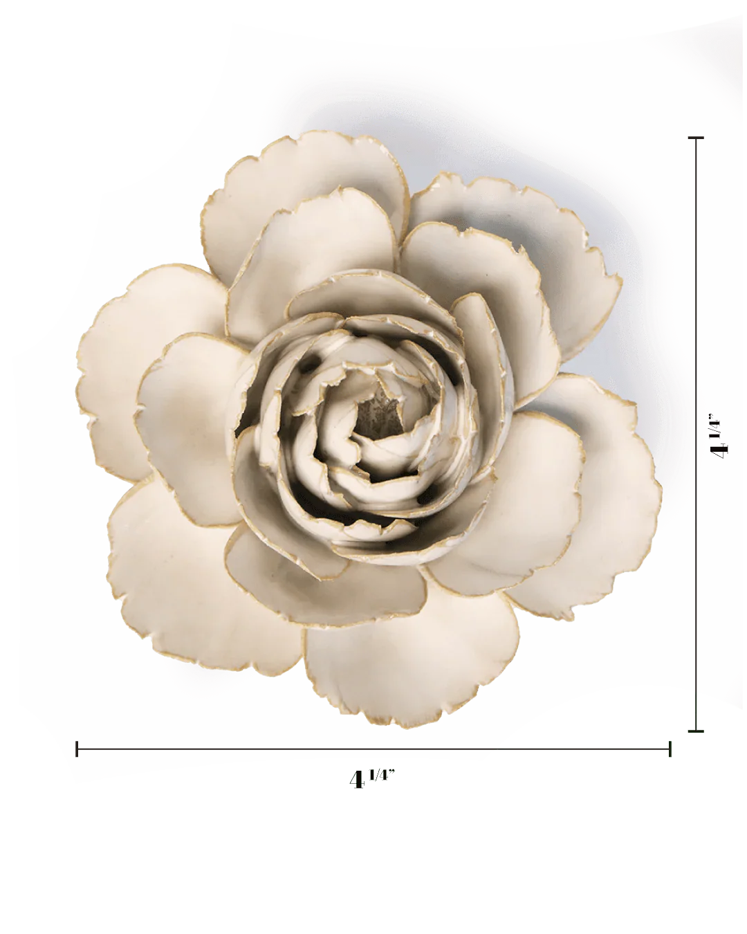 Ivory English Rose - Image 3