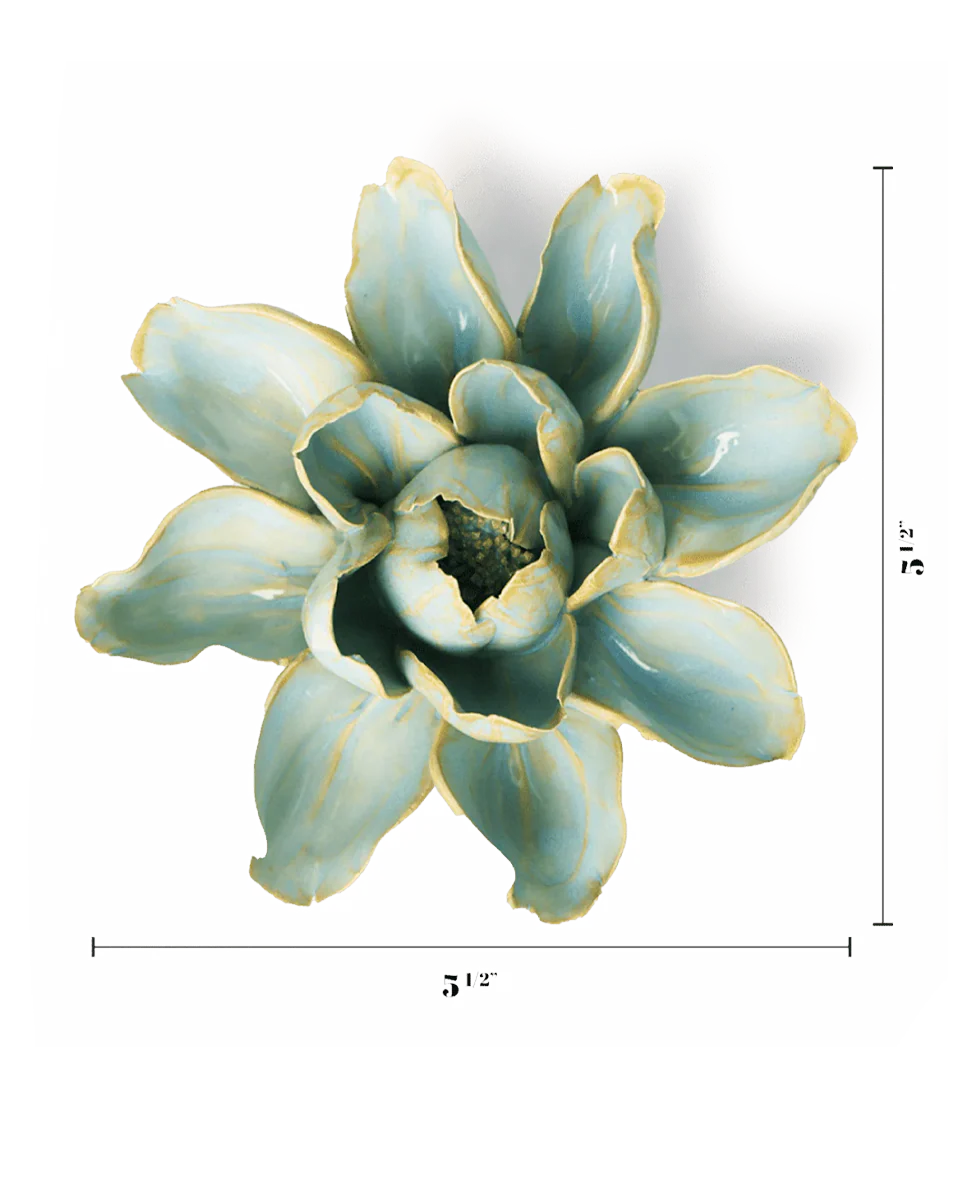 Robin's Egg Blue Aurora Water Lily - Image 3