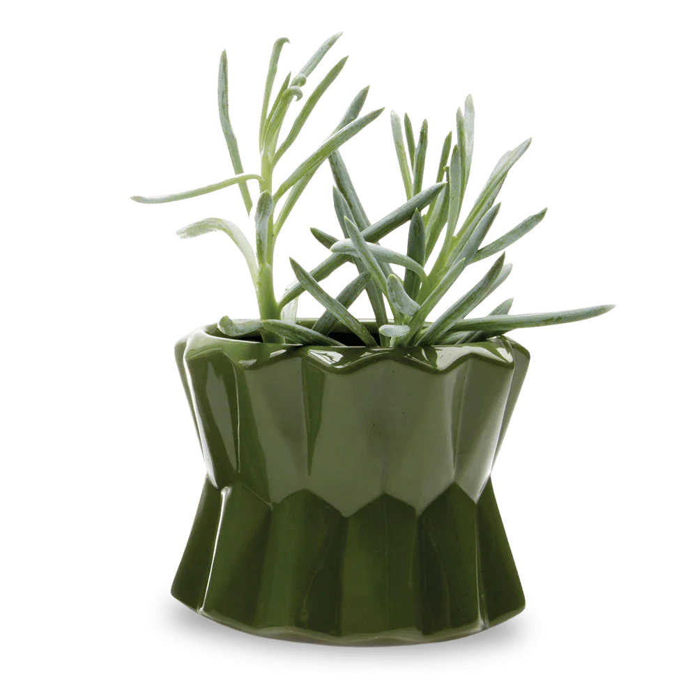 Fang Ceramic Modern Planter For Succulents | 4.5 inch