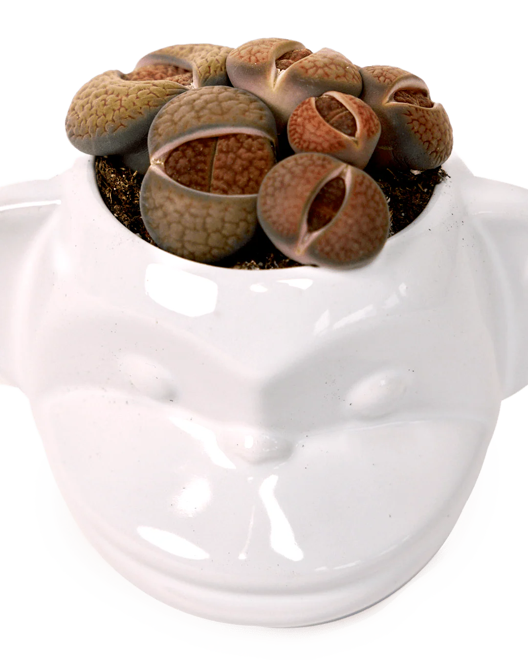 Funky Monkey Planter - Image 10