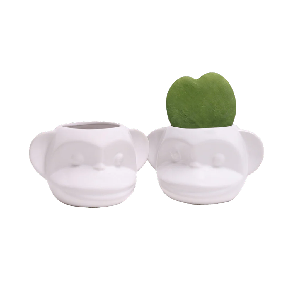 Funky Monkey Planter - Image 13