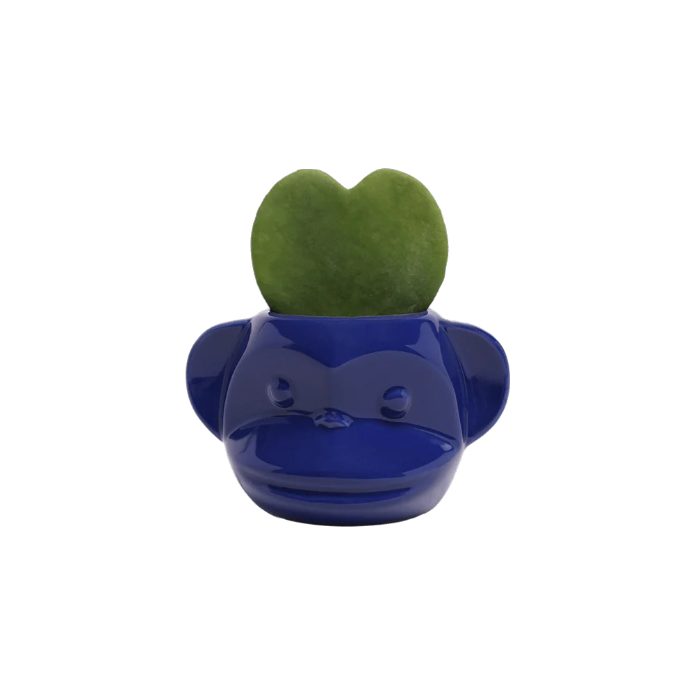 Funky Monkey Planter - Image 17