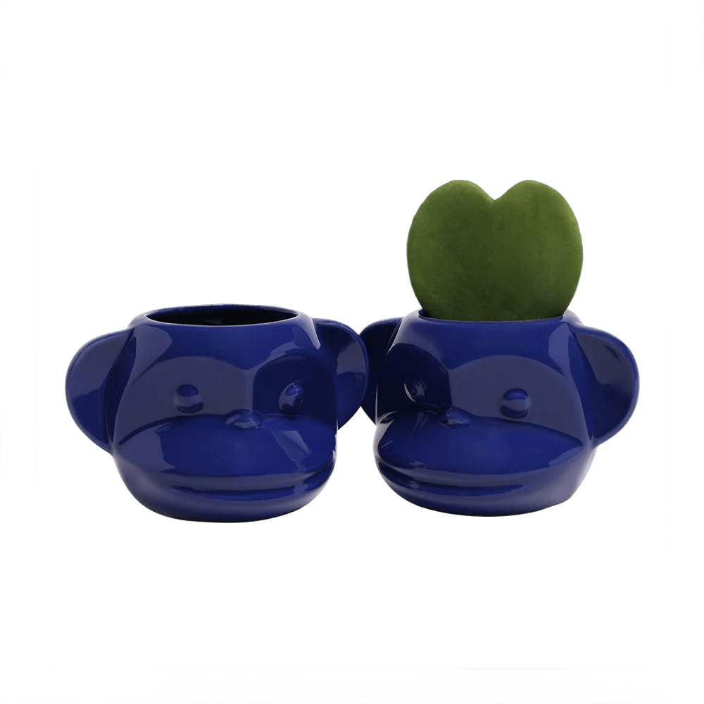 Funky Monkey Planter - Image 18