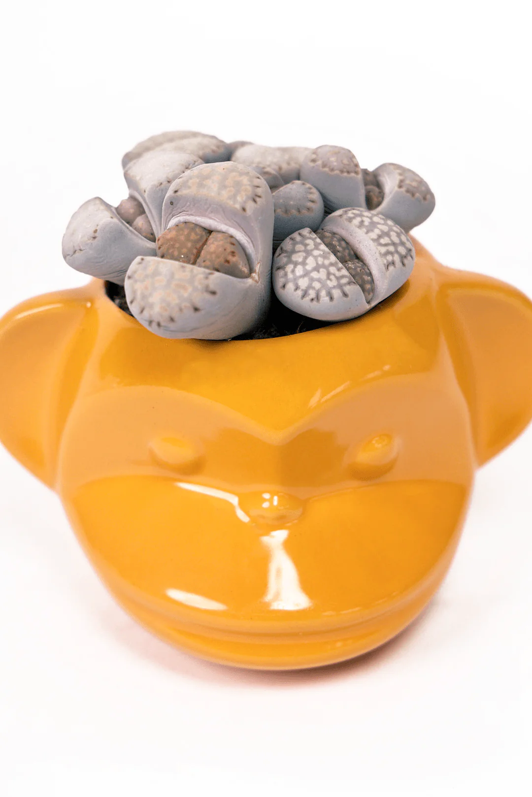 Funky Monkey Planter - Image 22