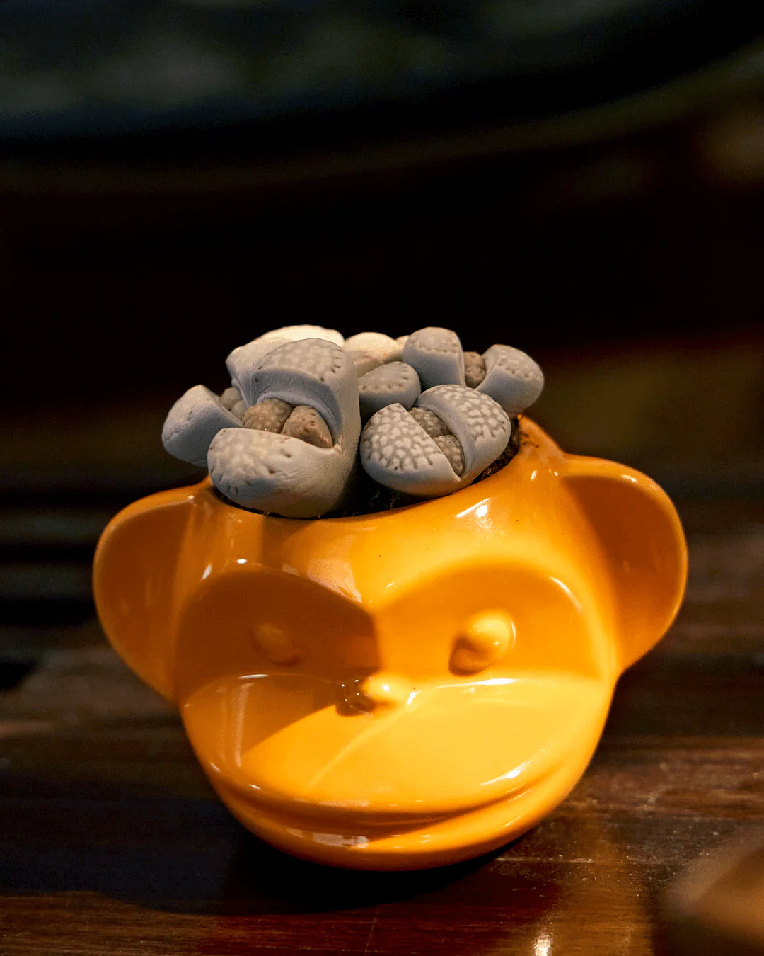 Funky Monkey Planter - Image 23