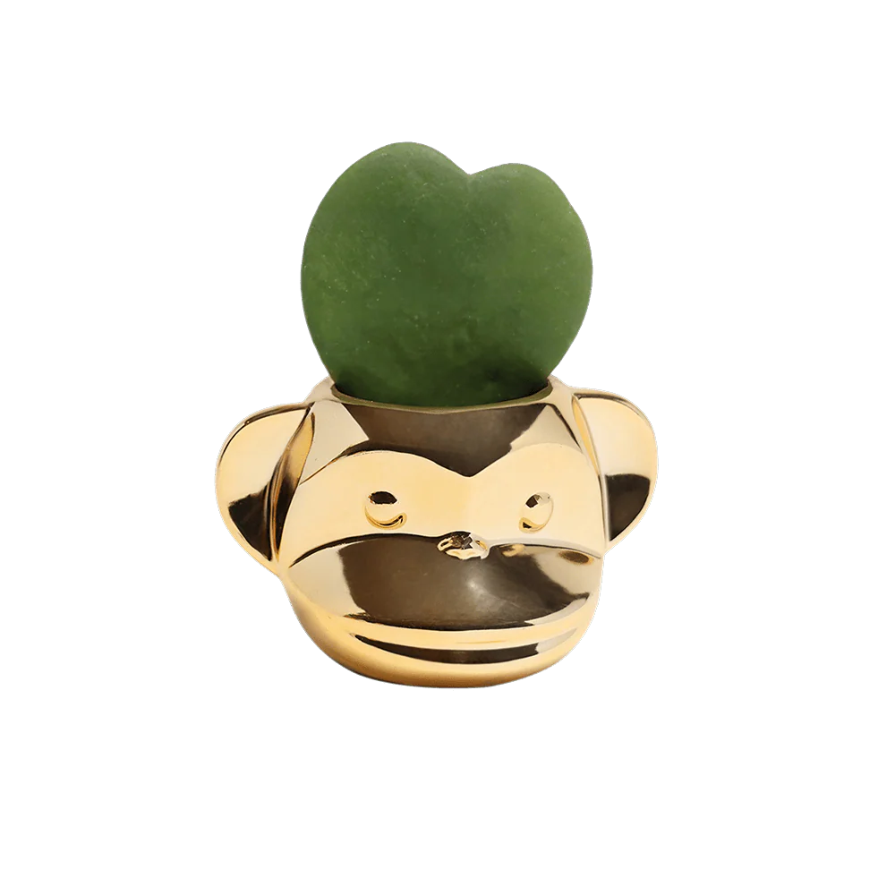 Funky Monkey Planter - Image 6