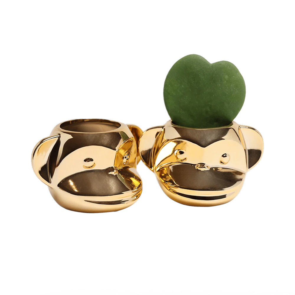 Funky Monkey Planter - Image 7