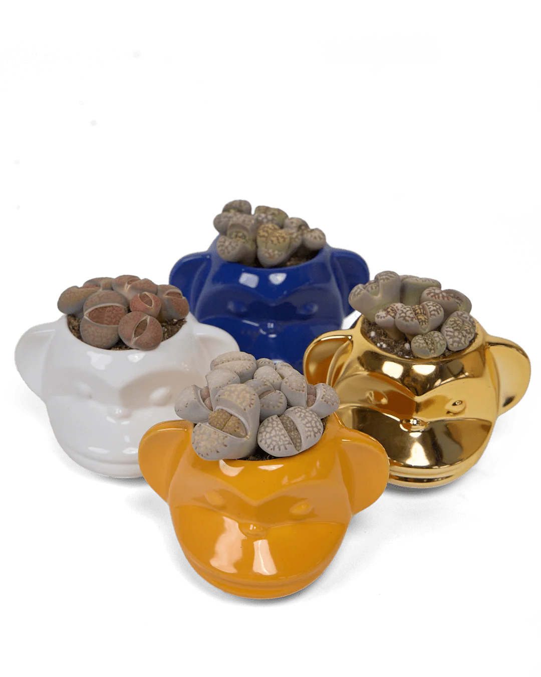 Funky Monkey Planter - Image 8