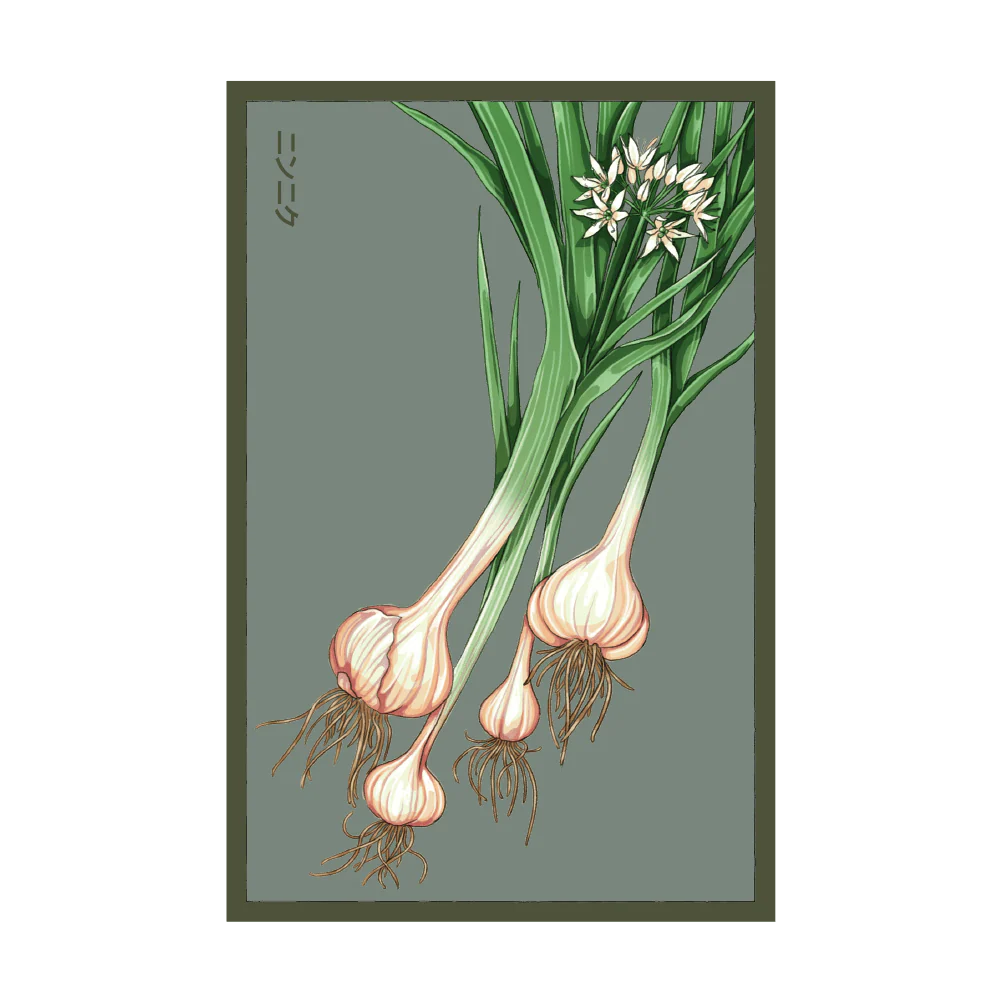Garlic Vegetable Seeds Packet