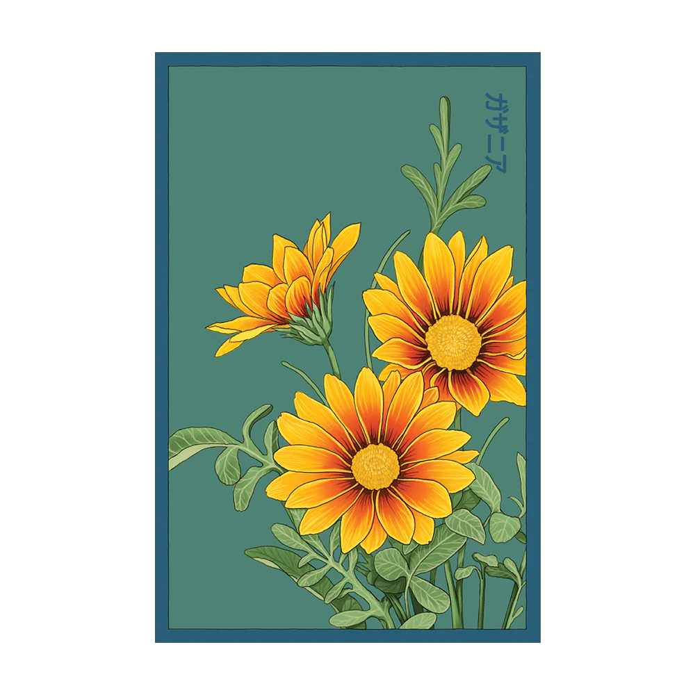 Gazania Flower Seeds Packet