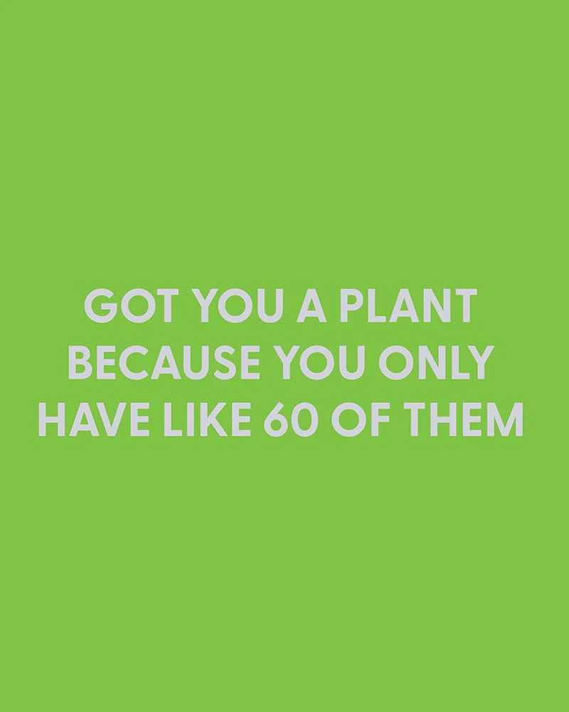 Got you a plant because you only have like 60 of them - Greeting Card