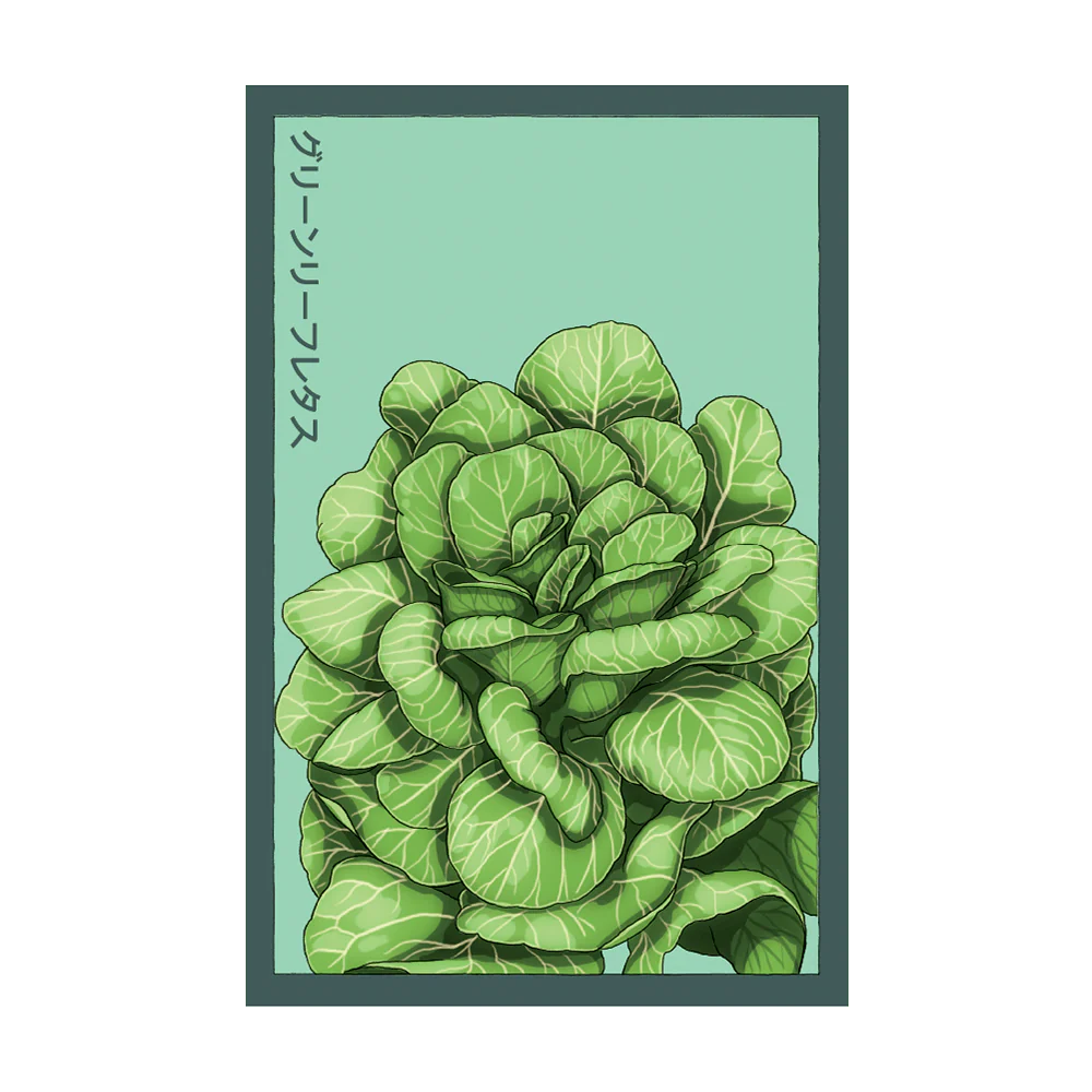Green Leaf Lettuce Vegetable Seeds Packet
