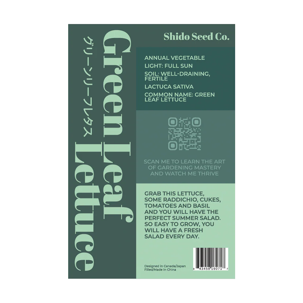 Green Leaf Lettuce Vegetable Seeds Packet - Image 2