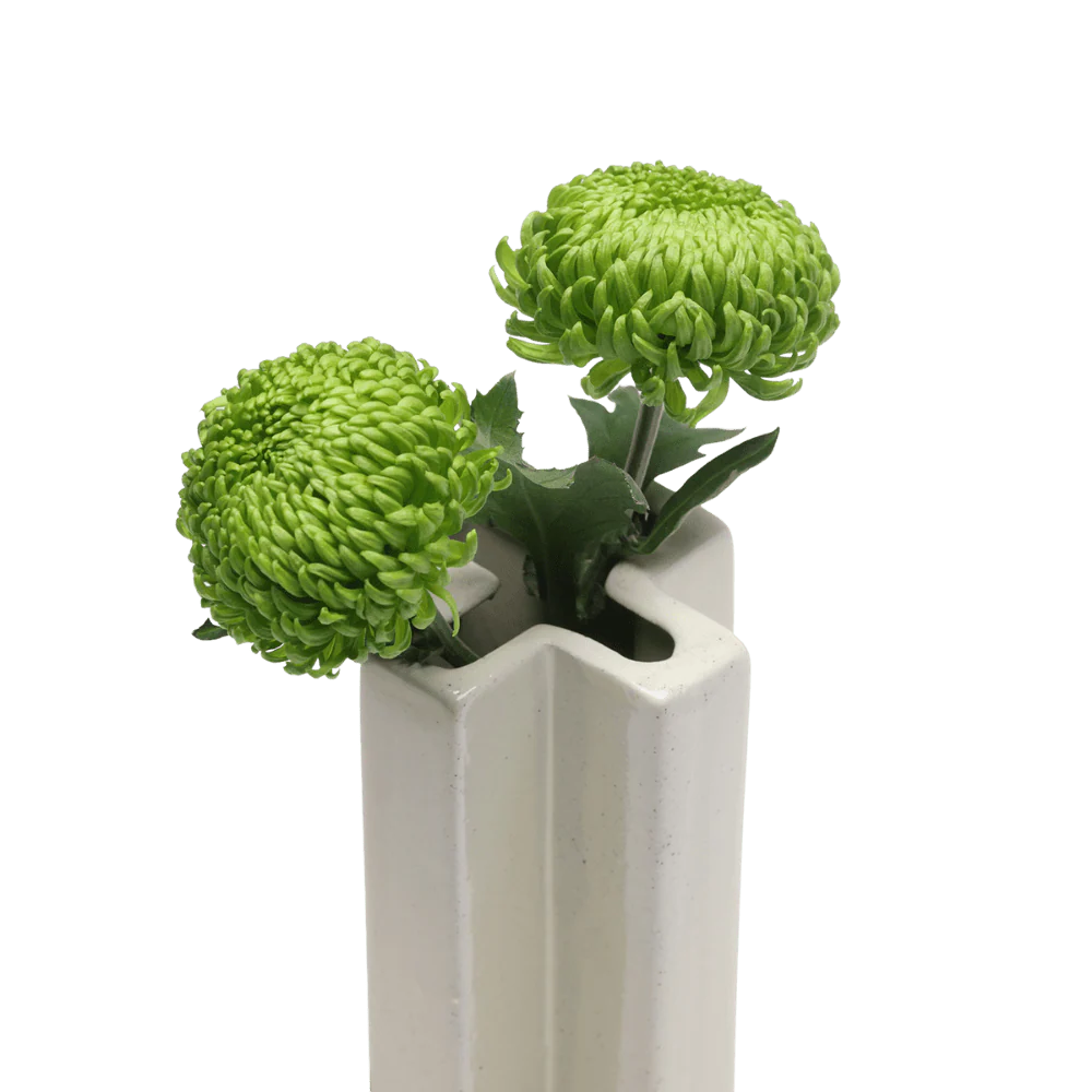 Jargogle Ceramic Unique Flower Vase - Image 11