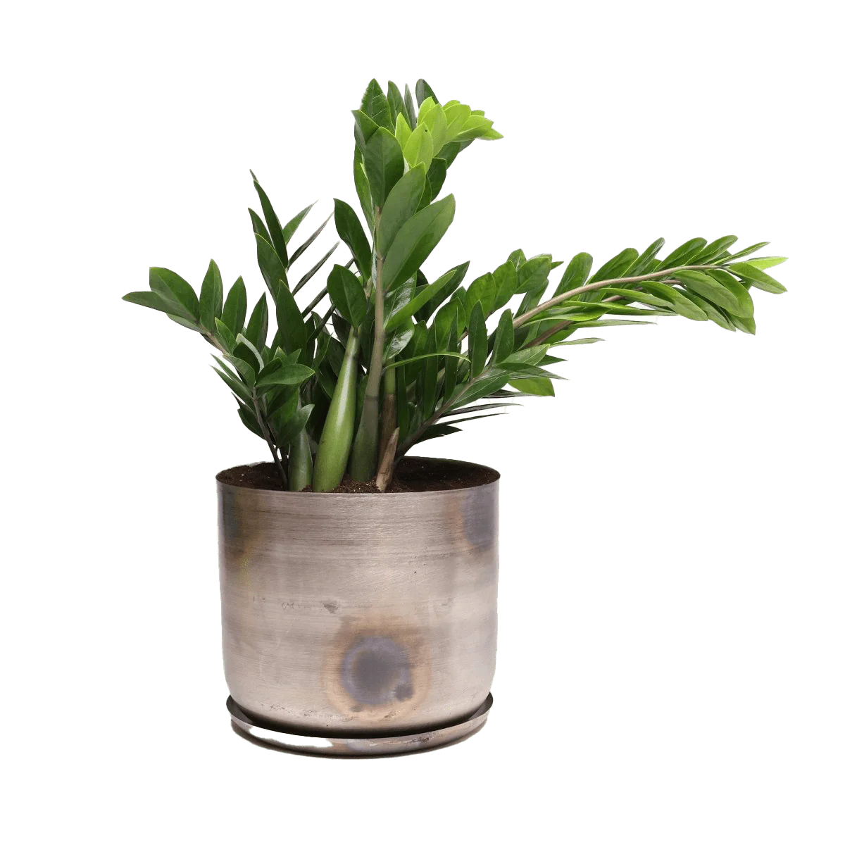 Joe Large Metal Pot With Drainage Hole — Silver