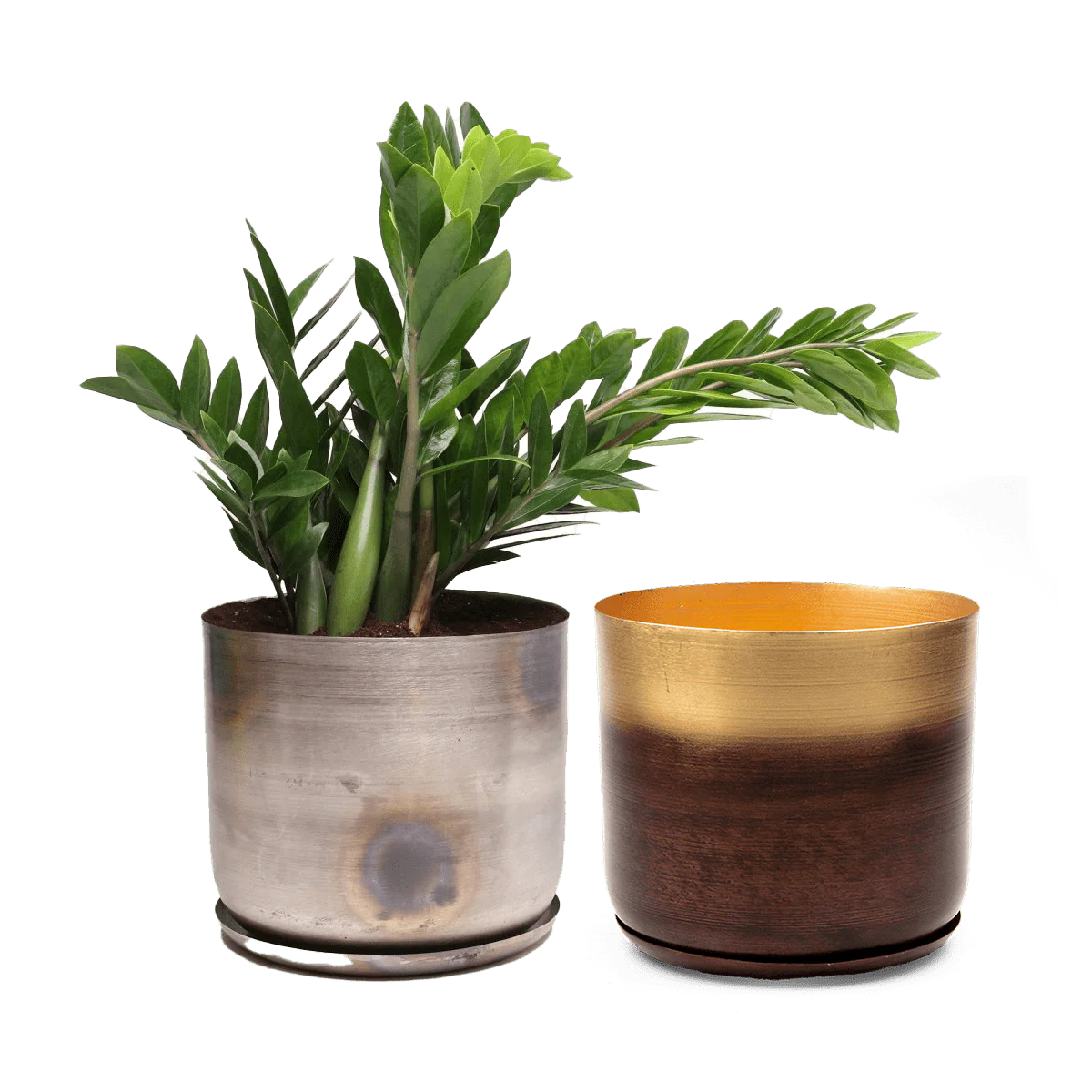 Joe Large Metal Pot With Drainage Hole — Silver - Image 4