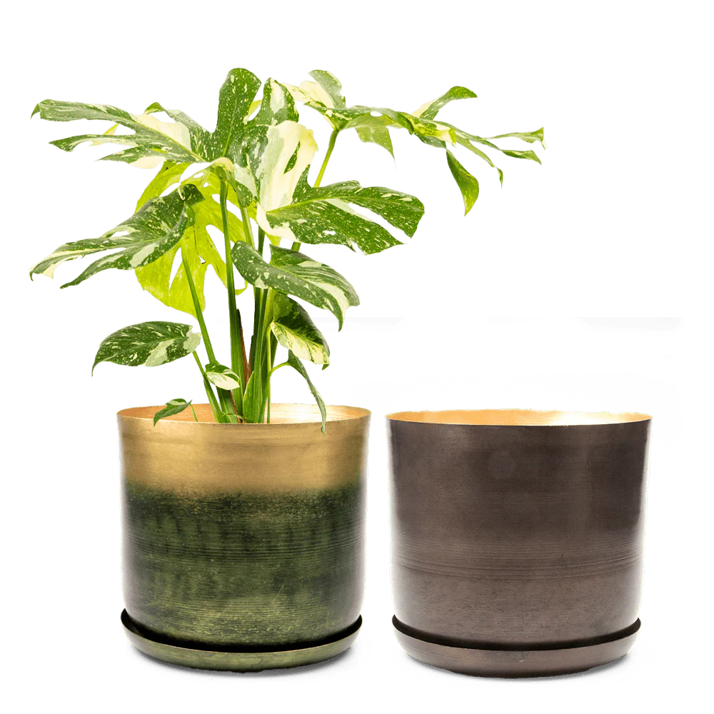 Joe Large Metal Pot With Drainage Hole — Bronzed Brown - Image 3