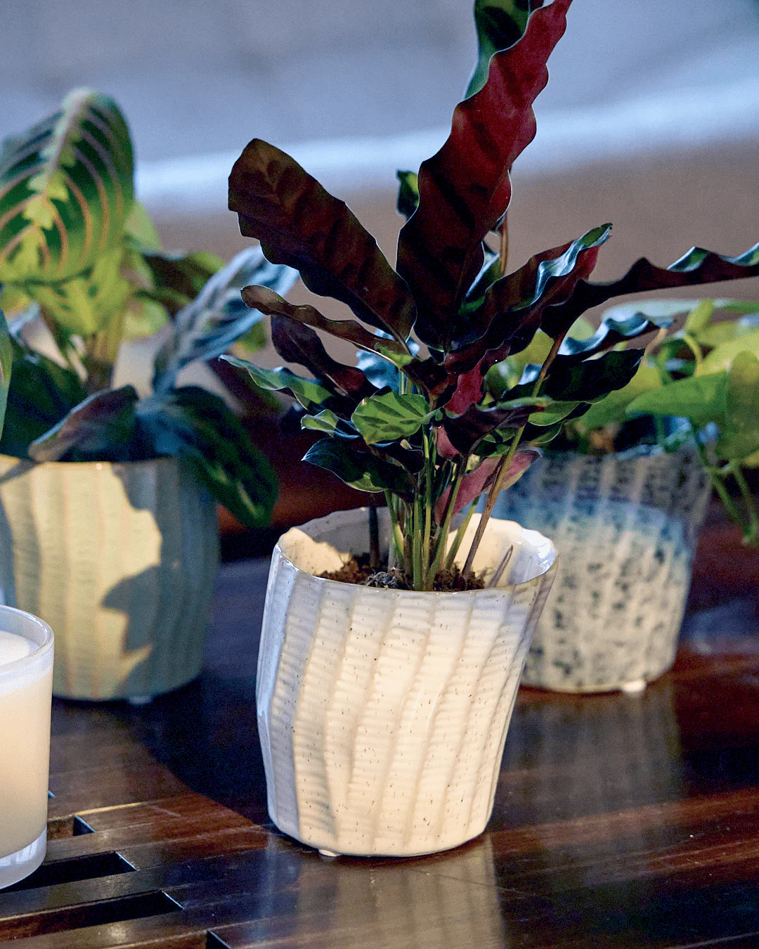 Katakana Ceramic Pot Planter - Image 26