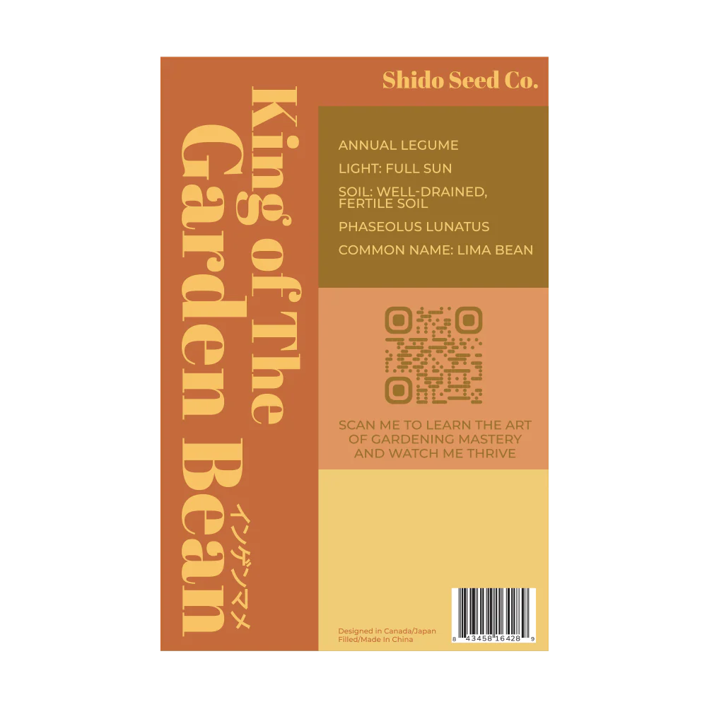 King of the Garden Bean Vegetable Seeds Packet - Image 2