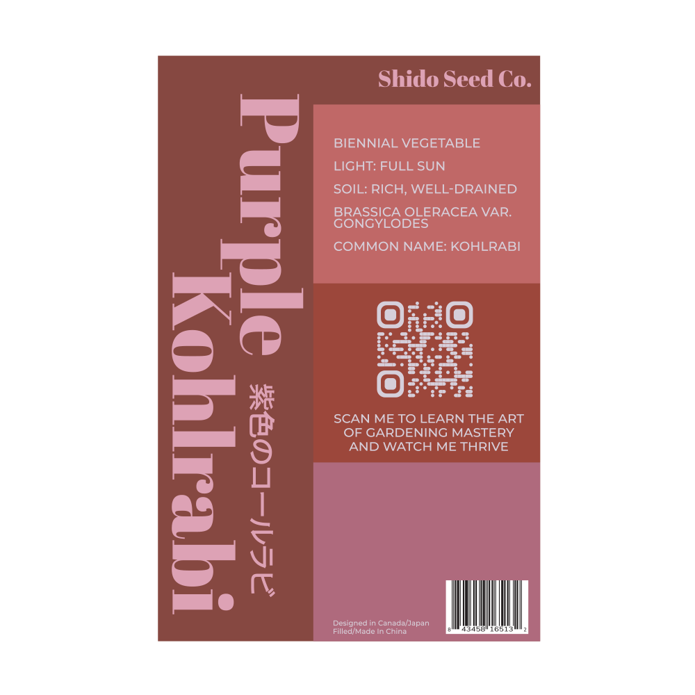 Kohlrabi Purple Delicacy Vegetable Seeds Packet - Image 2