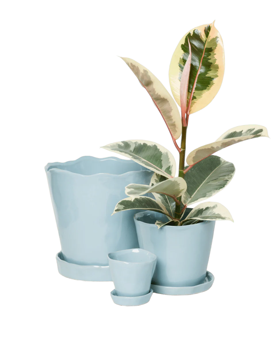 Tika Large Ceramic Plant Pot with Drainage Hole and Saucer — New Grey - Image 4