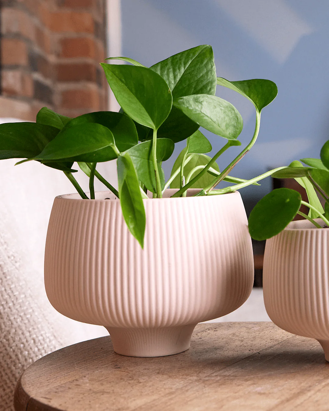Lilo Large Porcelain Modern Indoor Plant Pot - Pink Blush - Image 4
