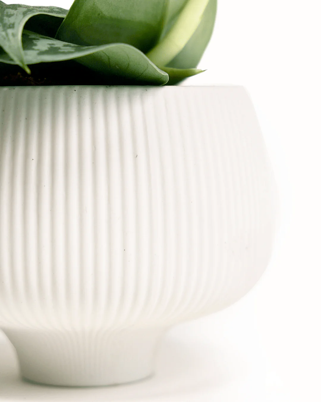 Lilo Large Porcelain Modern Indoor Plant Pot - White - Image 3