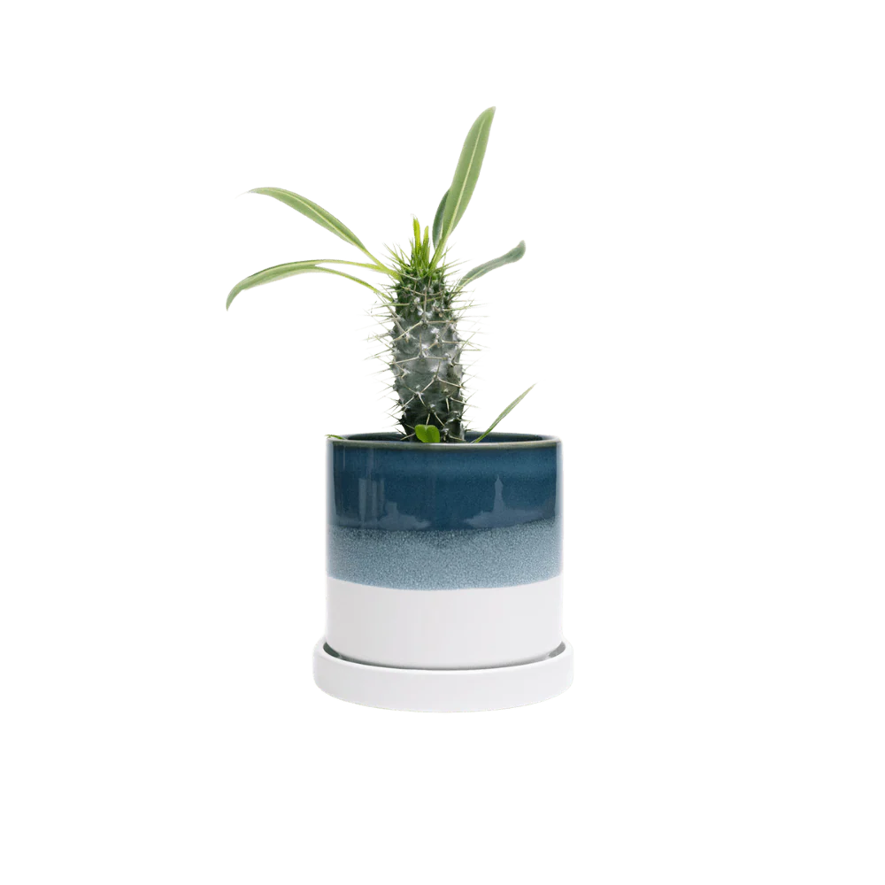 Minute Medium Ceramic Pot with Drainage Hole and Saucer — Terracotta - Image 7