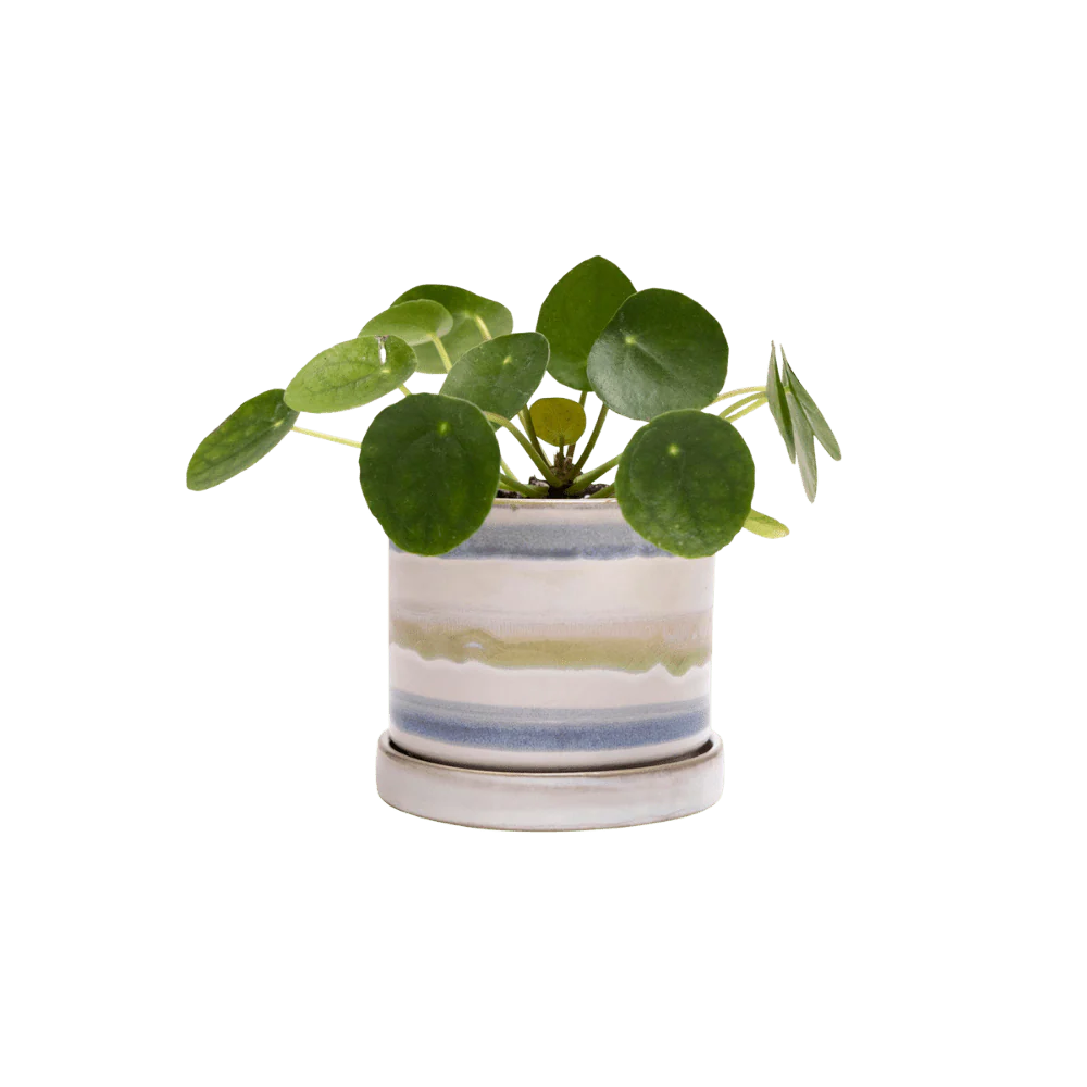 Minute Small Ceramic Pot with Drainage Hole and Saucer — Blue Green Layers