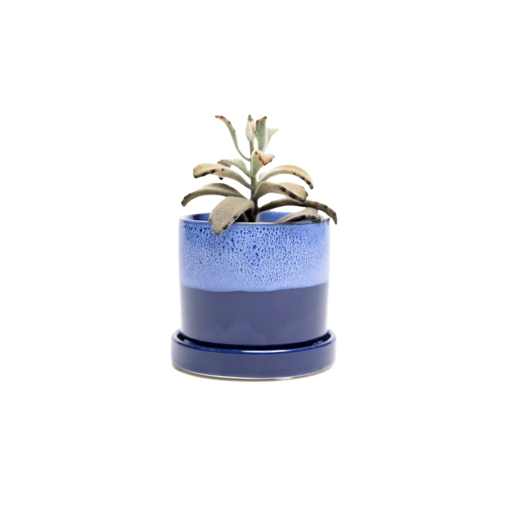 Minute Small Ceramic Pot with Drainage Hole and Saucer — Cobalt Blue
