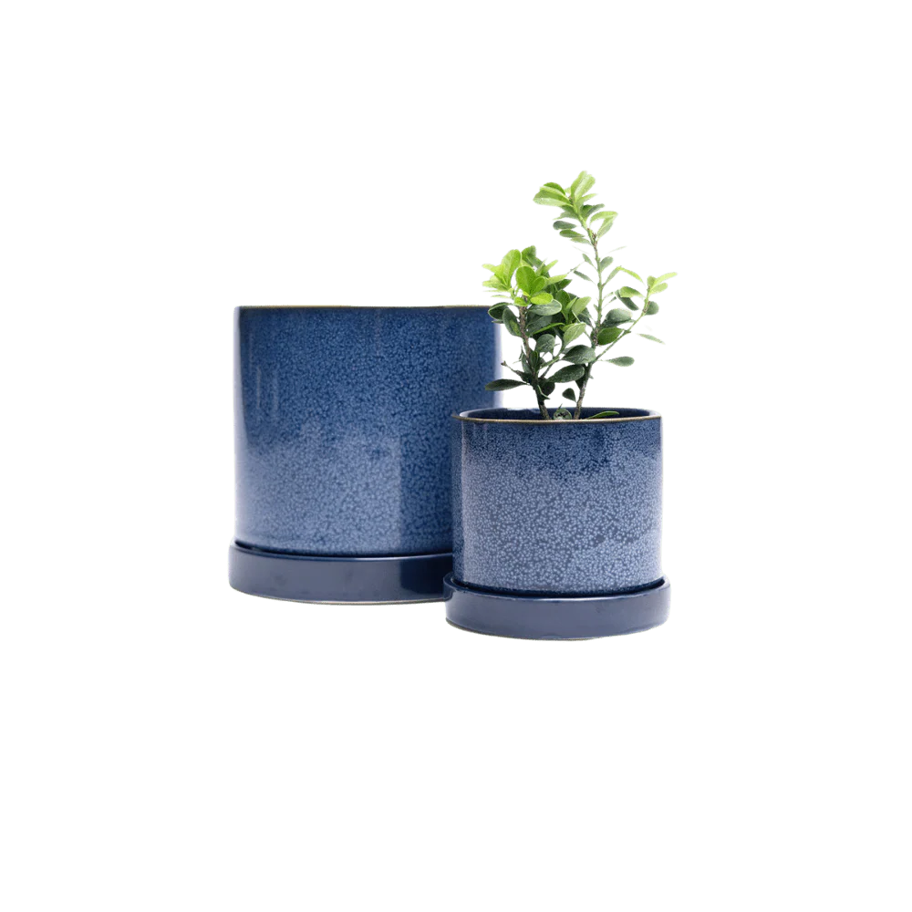 Minute Medium Ceramic Pot with Drainage Hole and Saucer — Cosmos - Image 5