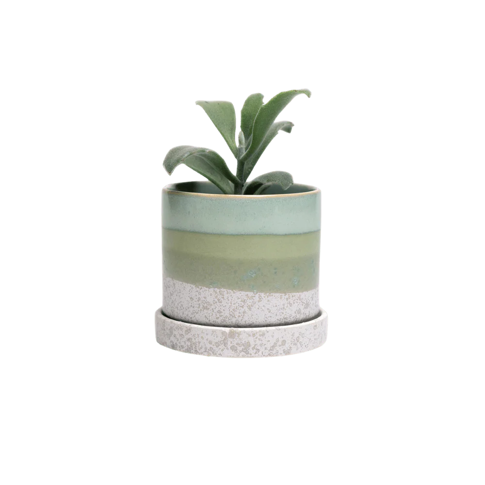 Minute Small Ceramic Pot with Drainage Hole and Saucer — Green Cement