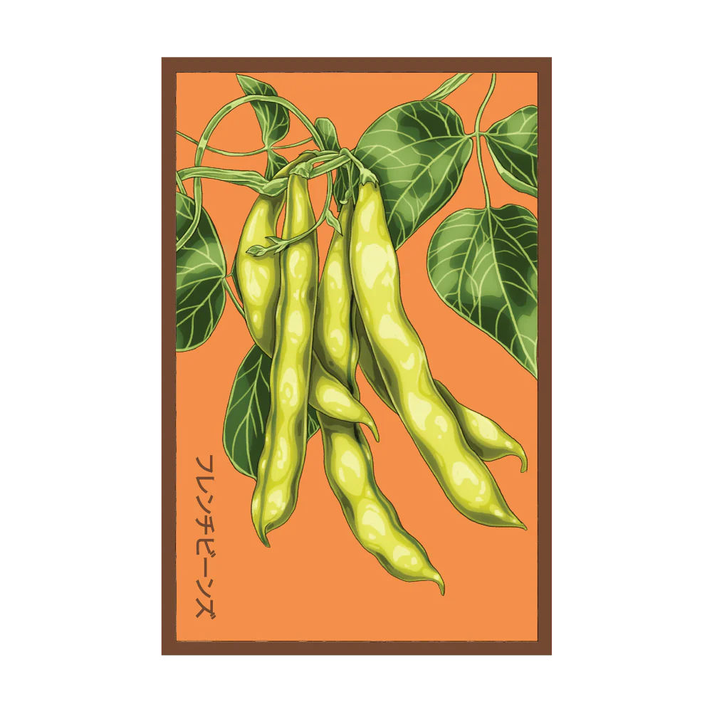 French Beans Vegetable Seeds Packet