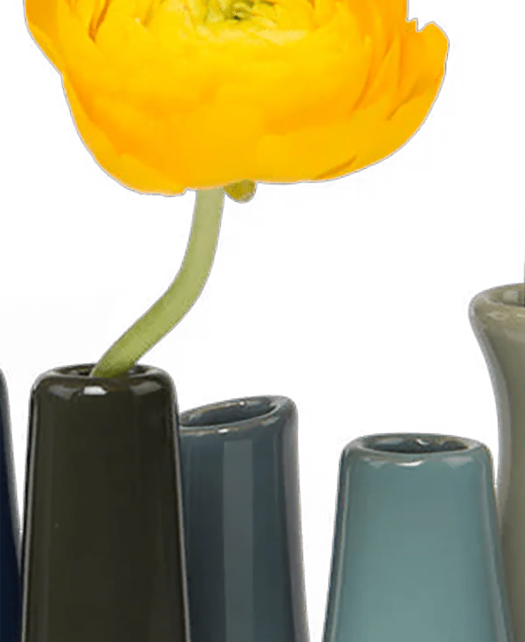 Pooley Modern Bud Vase For Flowers - Image 13