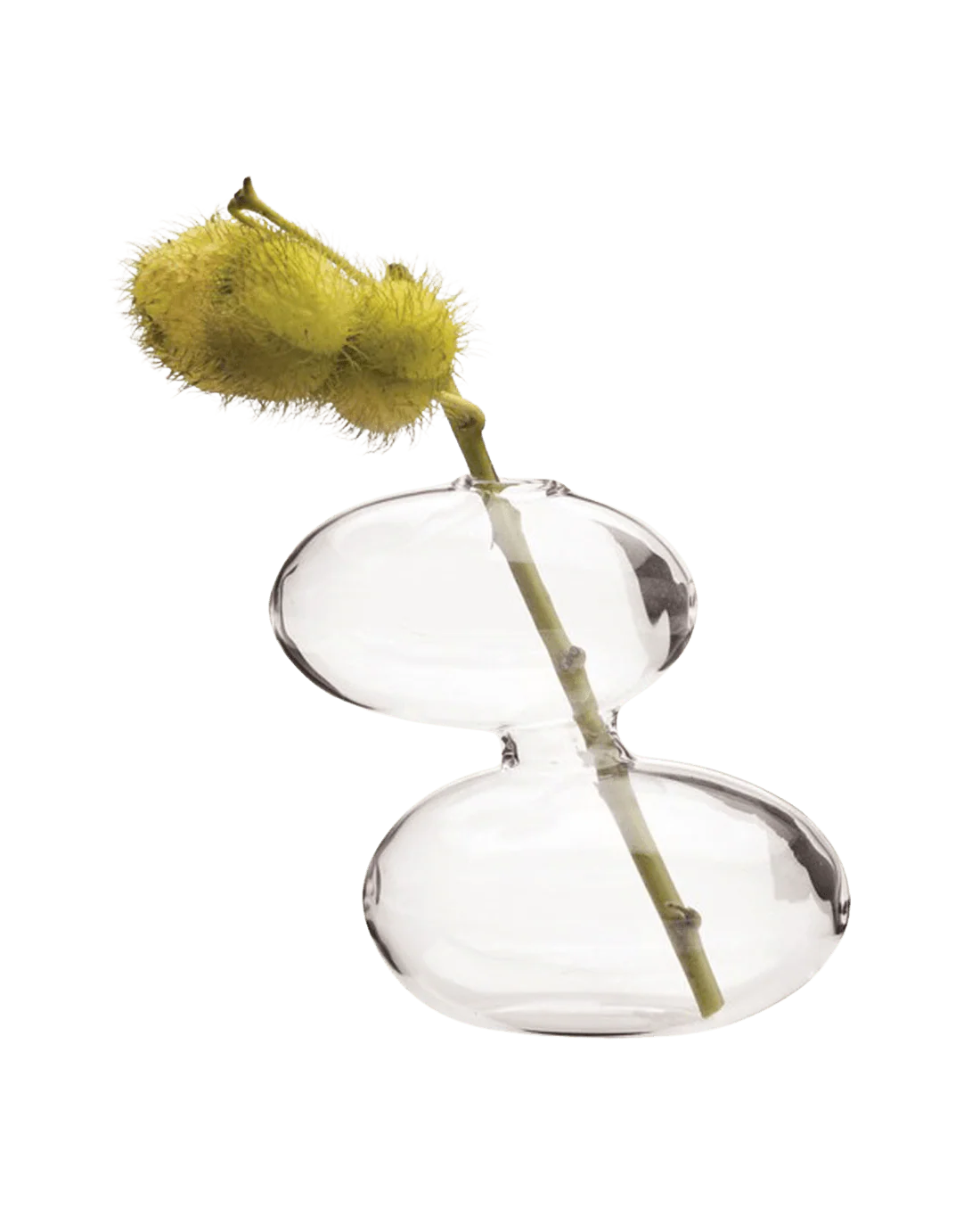 Raygun Glass Modern Clear Flower Vase