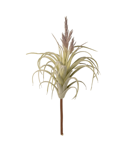 Air Plant Fake Lifelike Realistic Unkillable! - Image 11
