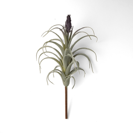 Air Plant Fake Lifelike Realistic Unkillable! - Image 12
