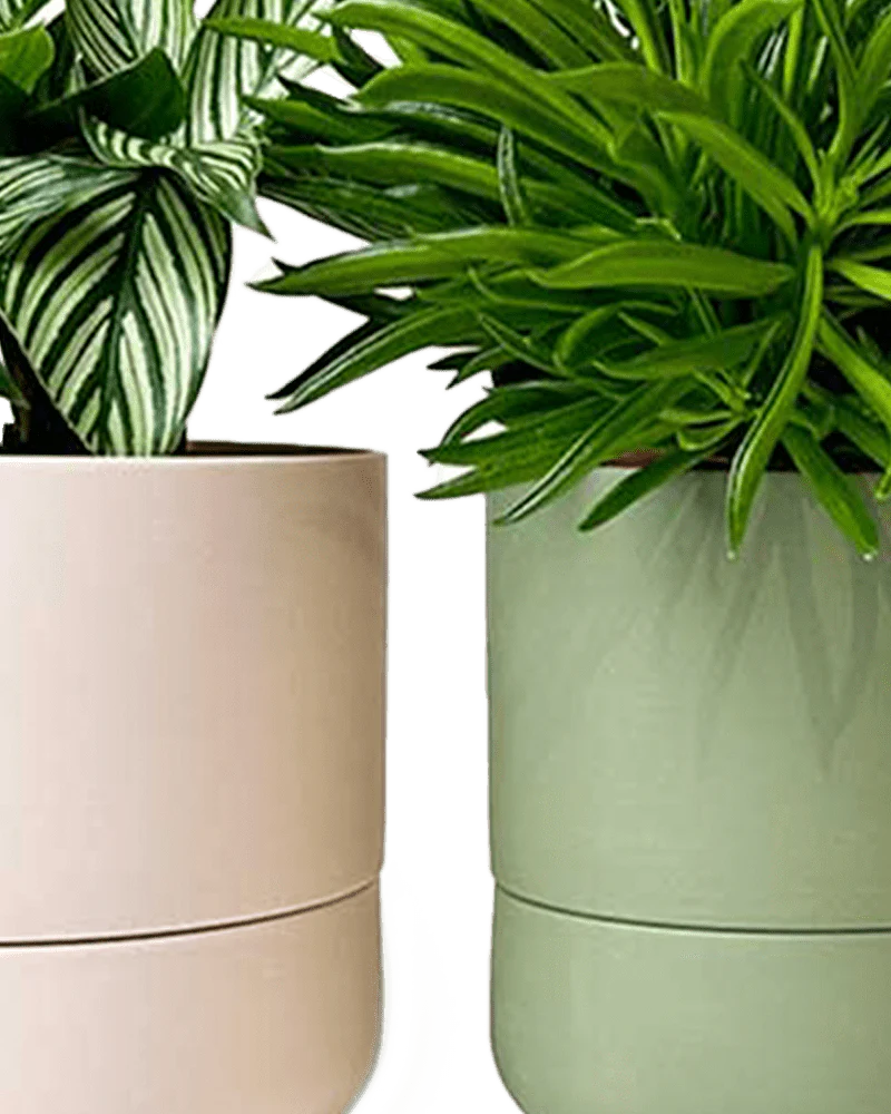Ryan Self-Watering Plant Pots - Image 39