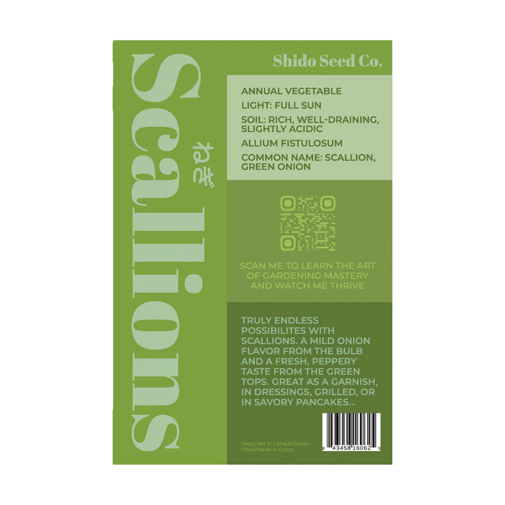 Scallions Vegetable Seeds Packet - Image 2