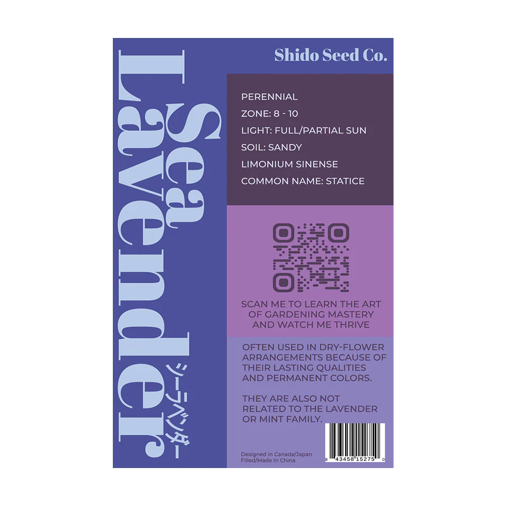Sea Lavender Flower Seeds Packet - Image 2