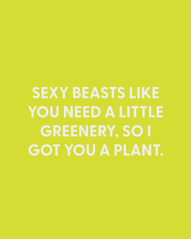 Sexy beasts like you need a little greenery, so I got you a plant. - Greeting Card