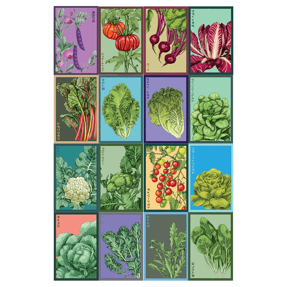 Vegetables Seed Bundle - 33pc Assortment