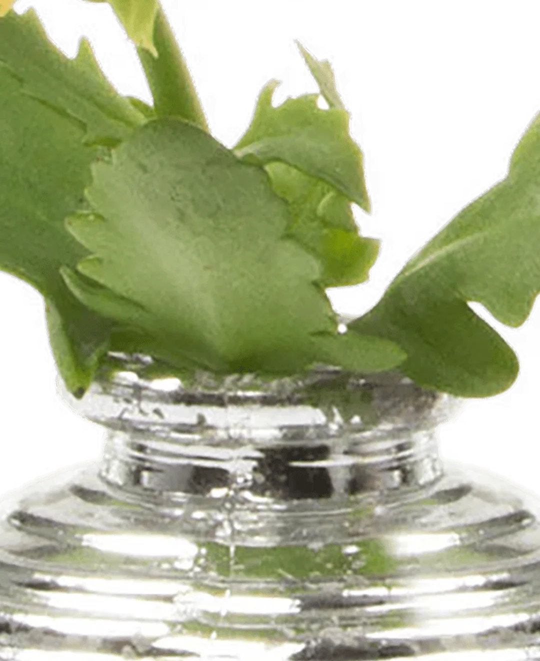 Smasak Glass Bud Vase - Image 10