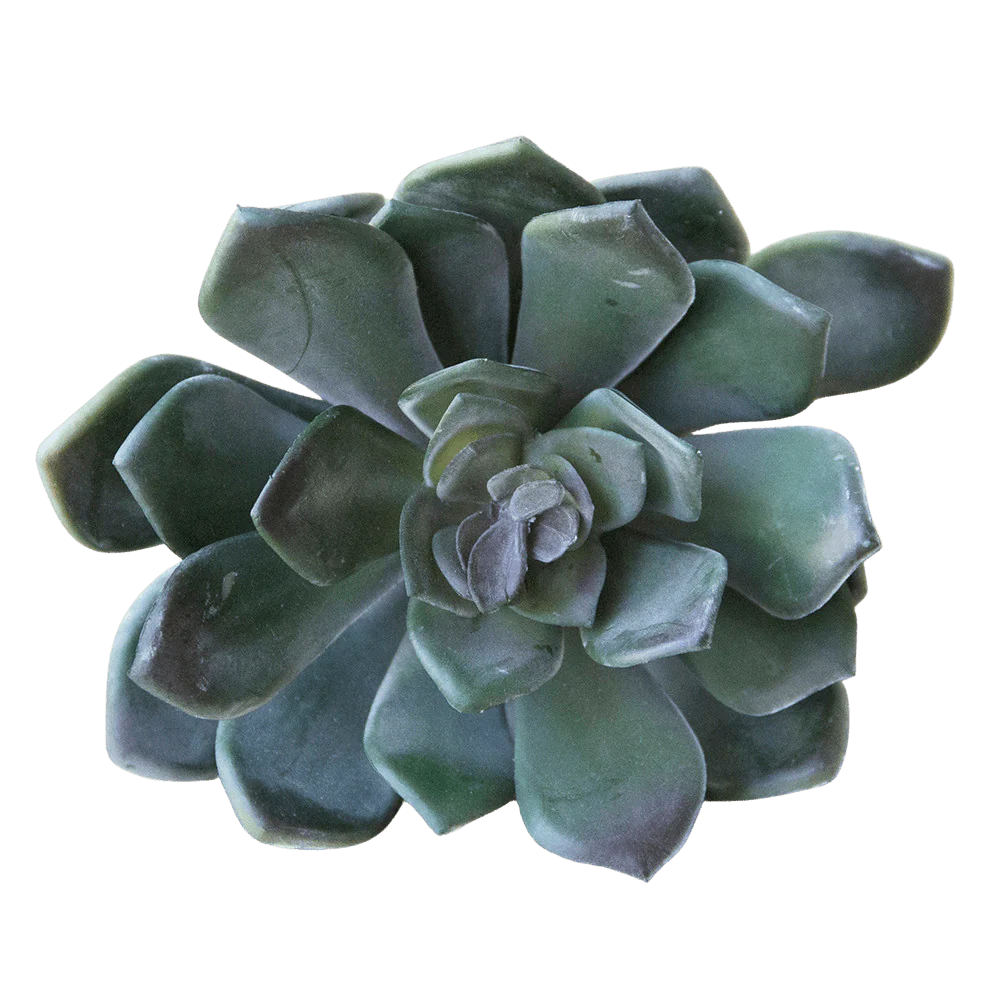 Succulents Fake Faux Lifelike Decorative Things - Image 3