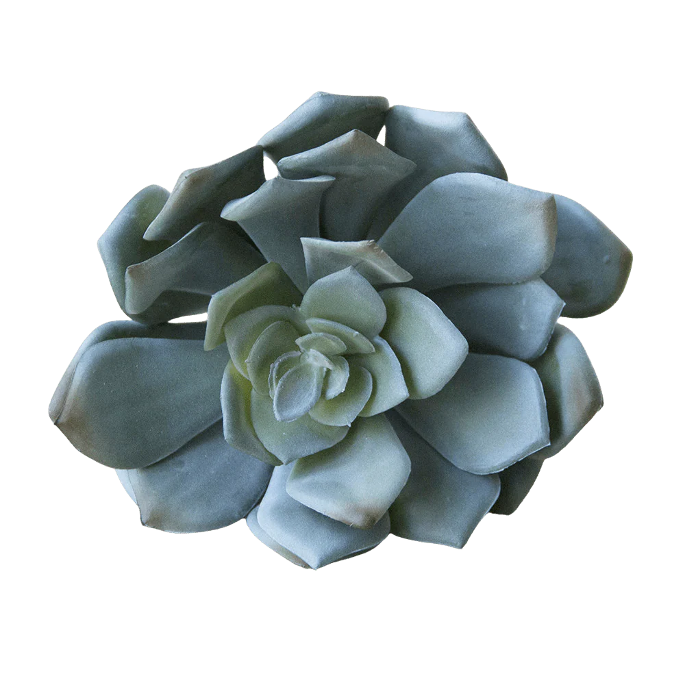 Succulents Fake Faux Lifelike Decorative Things - Image 4