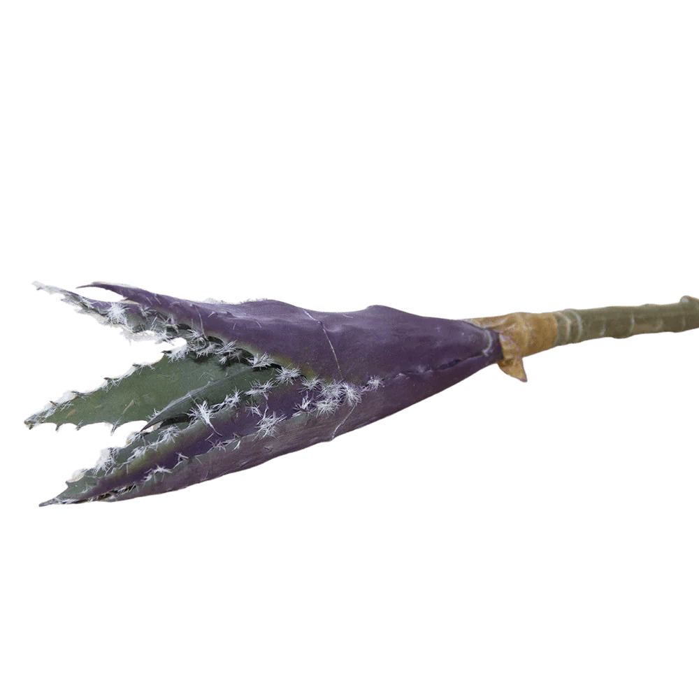 Succulents Fake Faux Lifelike Decorative Things - Image 7