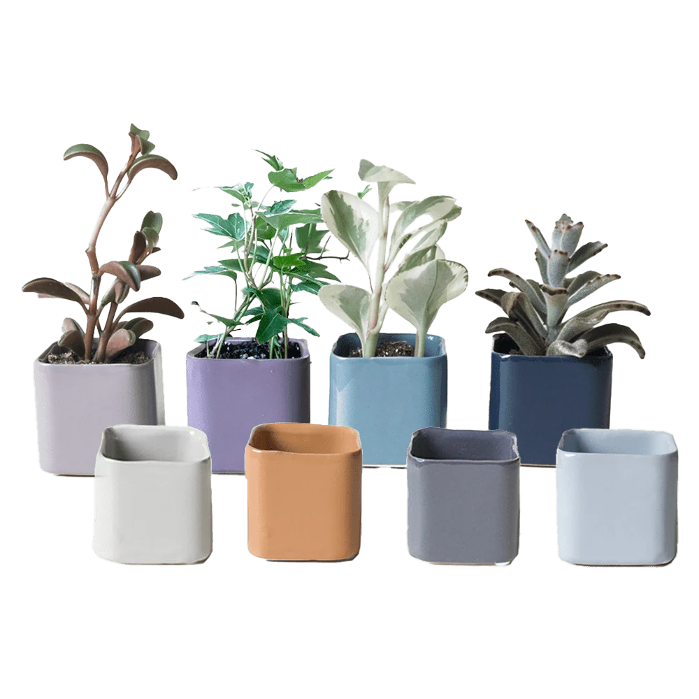 Svek Ceramic Indoor Succulent Pot - Image 14