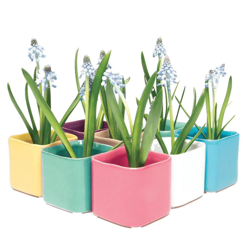 Svek Ceramic Indoor Succulent Pot - Image 18