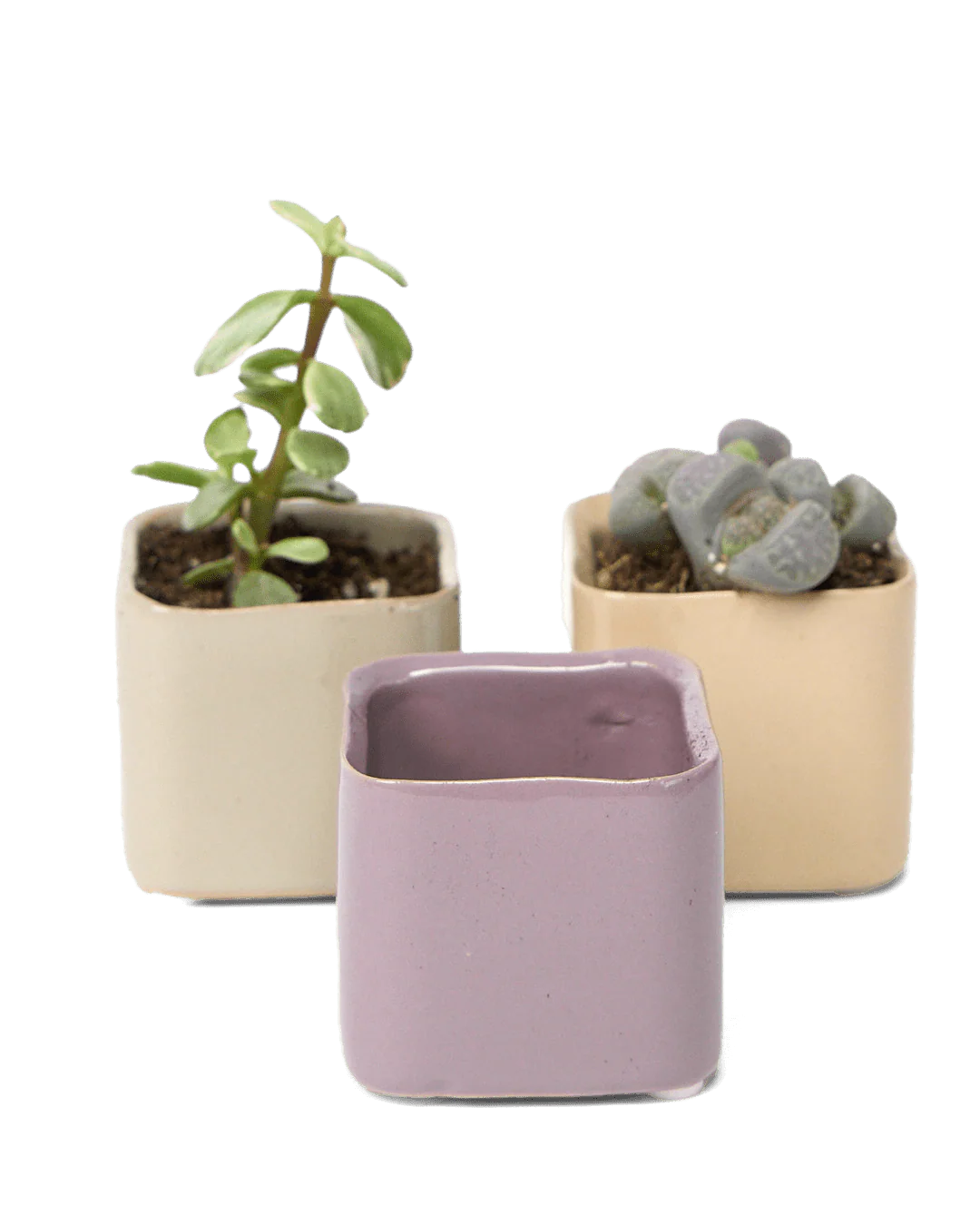 Svek Ceramic Indoor Succulent Pot - Image 30